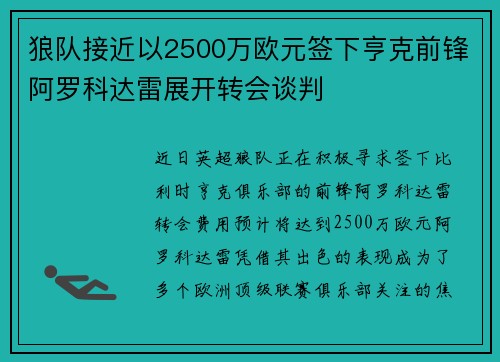 狼队接近以2500万欧元签下亨克前锋阿罗科达雷展开转会谈判