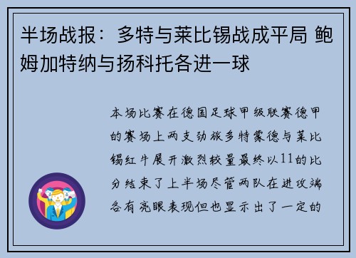 半场战报：多特与莱比锡战成平局 鲍姆加特纳与扬科托各进一球